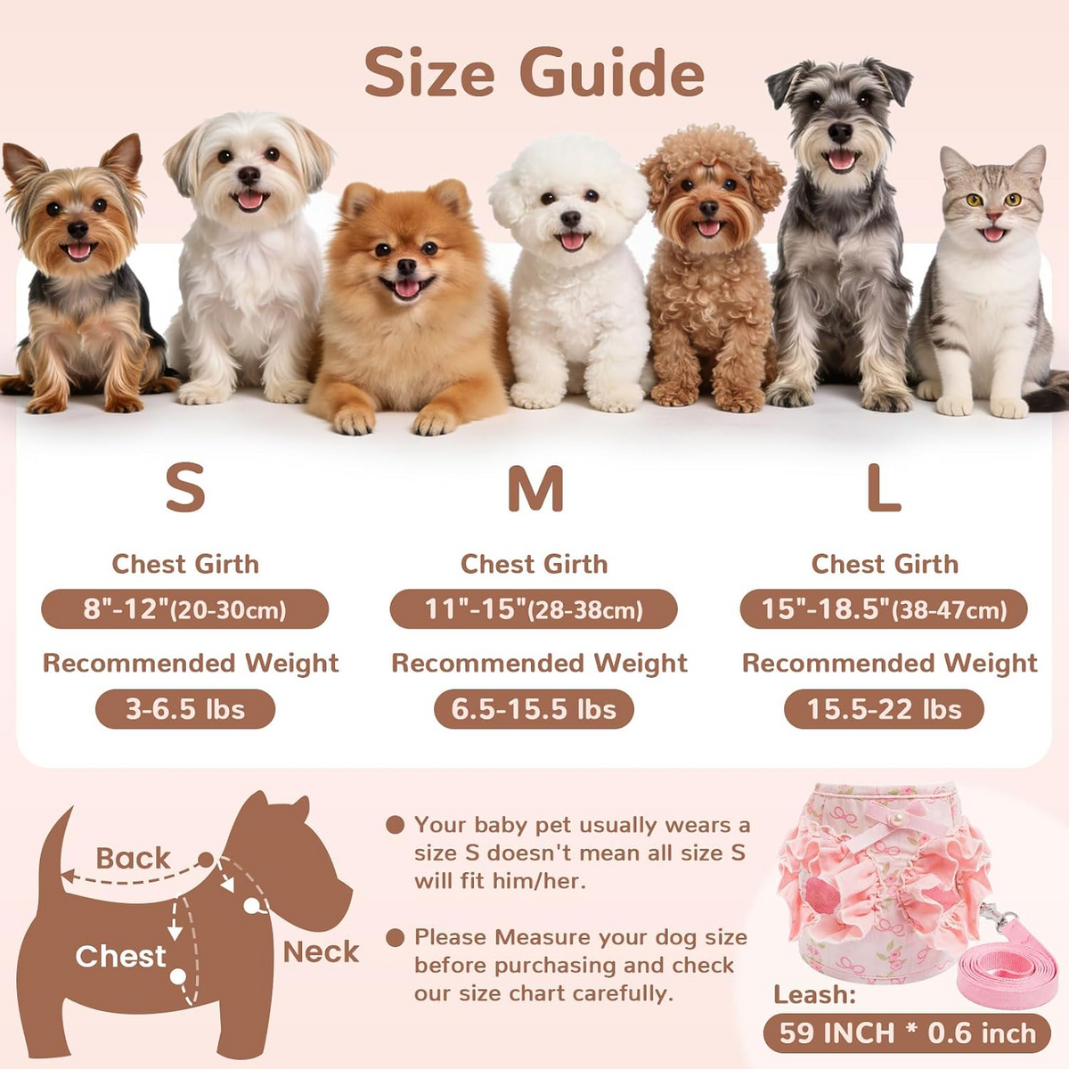 Cute Bow No-Pull Harness & Leash Set for Small Dogs & Cats