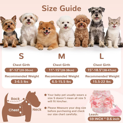 Cute Bow No-Pull Harness & Leash Set for Small Dogs & Cats