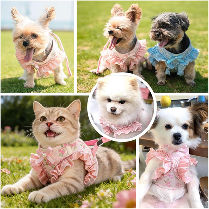 Cute Bow No-Pull Harness & Leash Set for Small Dogs & Cats