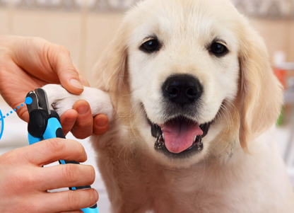 Professional Pet Nail Trimmer for Dogs & Cats