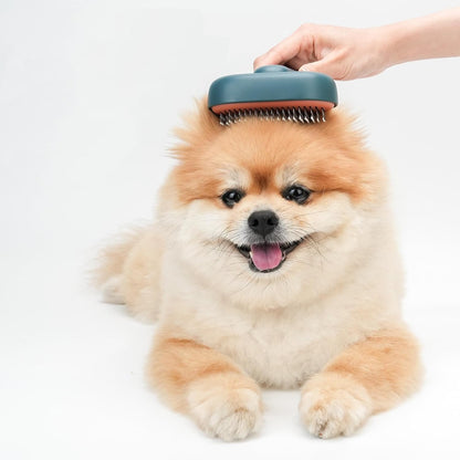 Self-Cleaning Pet Slicker Brush for Dogs & Cats